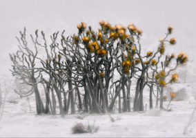 Blue Cut Fire, SBCM, Benoit Malphettes