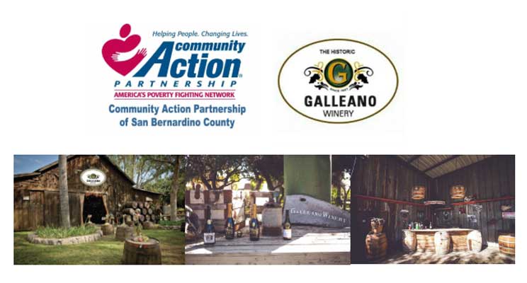 Community Action Partners