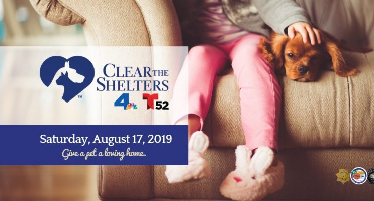 Riverside County: Pets Ready for Clear the Shelters Annual Event ...
