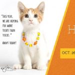 Halloween Pet Adoption Event