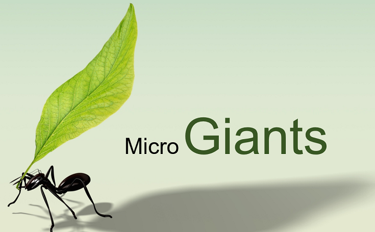 Micro Giants