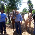 Queen-of-Hearts-Therapeutic-Riding-Center