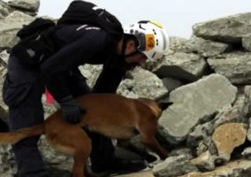 Riverside Rescue Dogs