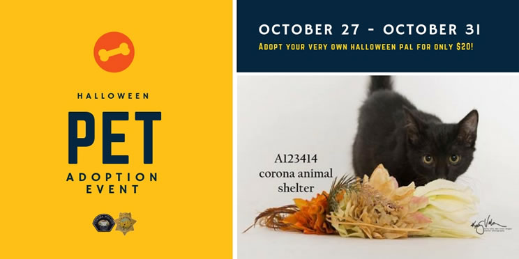 Corona Pet Adoption Event