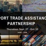trade-export-IE