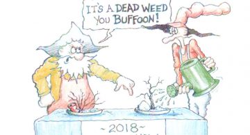 Weed Show