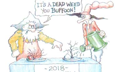 Weed Show